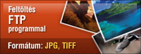 FTP var�zsl�